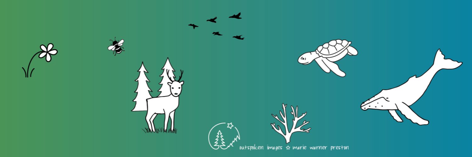 mariewpreston's profile banner image
