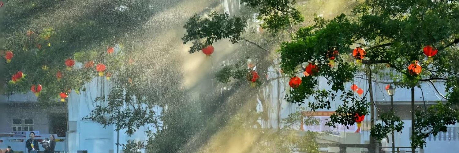 pericamadelmann's profile banner image