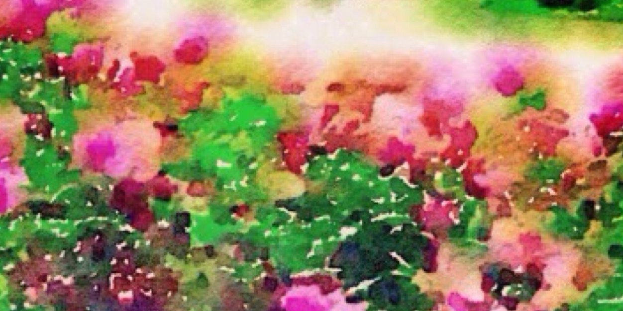 whimchic banner