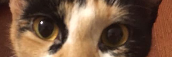 kylie1982's profile banner image