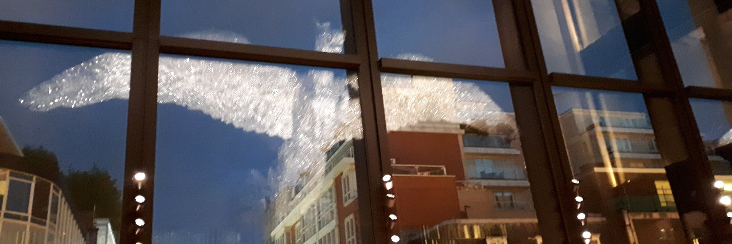 #RejoinEU#Ind Palestine/Ind TRNC#FBPE banner