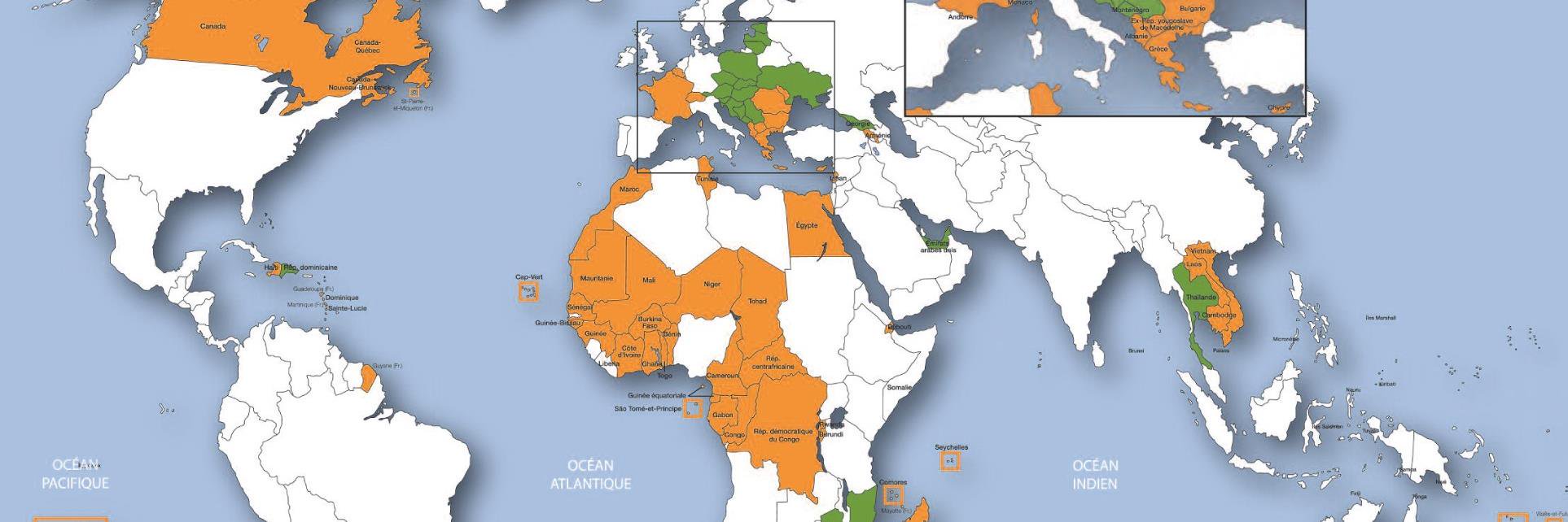 Solène Potter H. P. banner