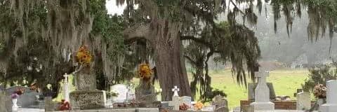 ForeverCreole banner