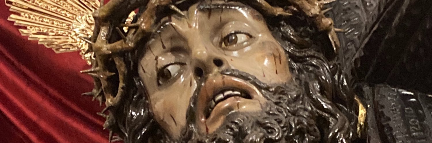HNPJesusCaidoFN's profile banner image