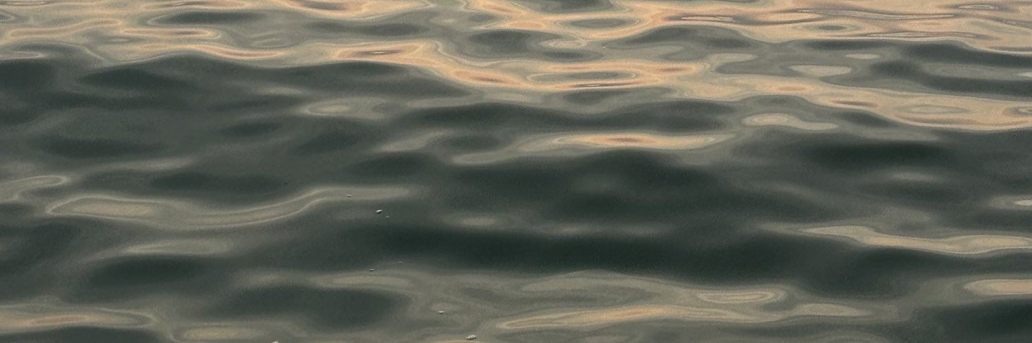 chechula🧚🏻‍♀️ banner