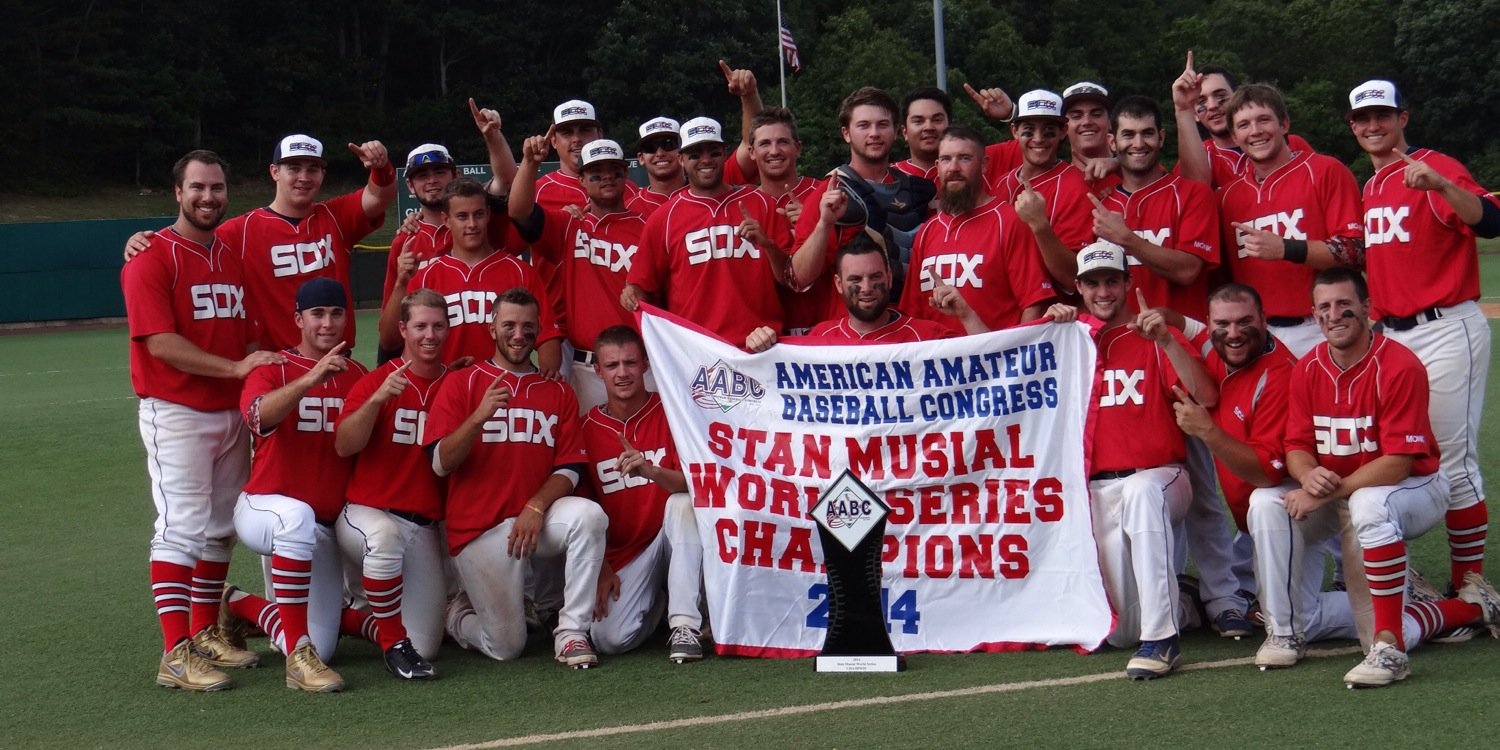 Braintree White Sox banner