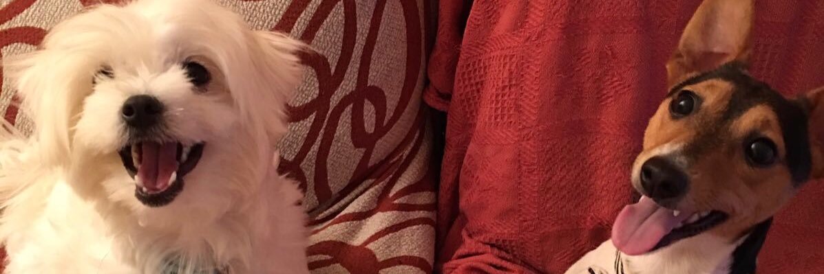 sheila2793's profile banner image