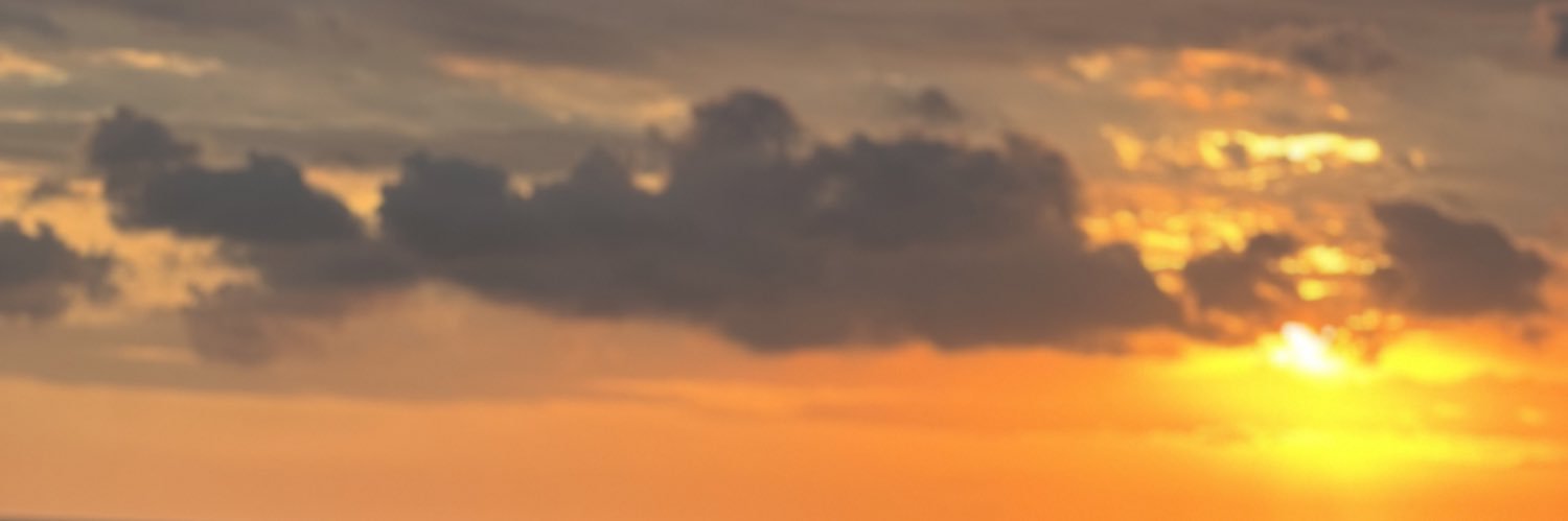 aimy_cat's profile banner image