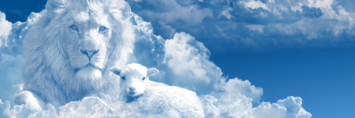 Javierarq05's profile banner image