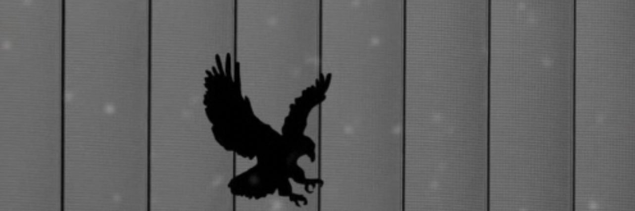 luays11's profile banner image