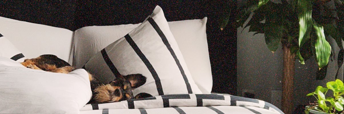 donnyjean's profile banner image