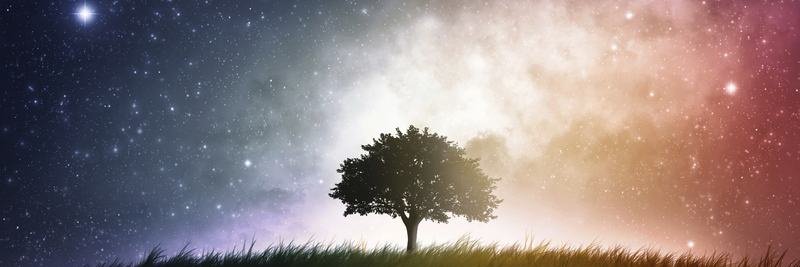sn_sintesis's profile banner image