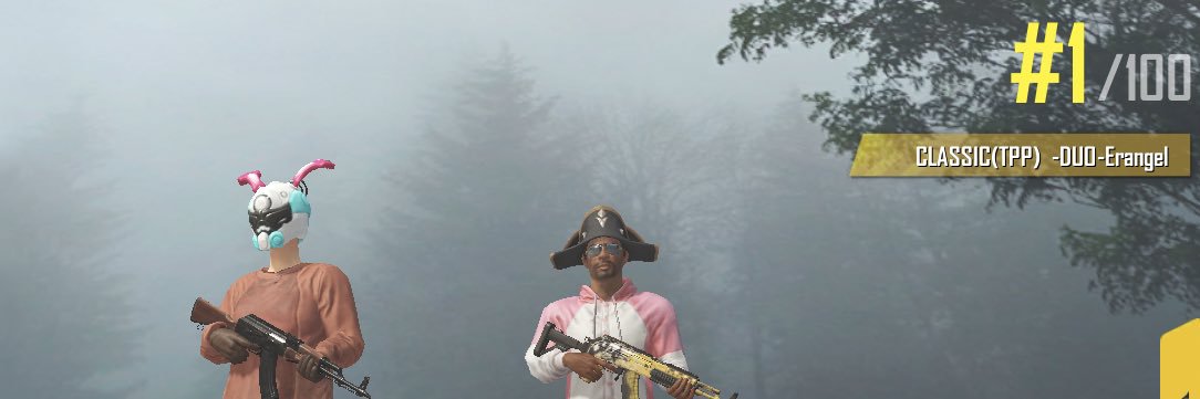 pochahocha's profile banner image