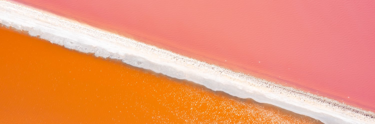 Alitaudon's profile banner image