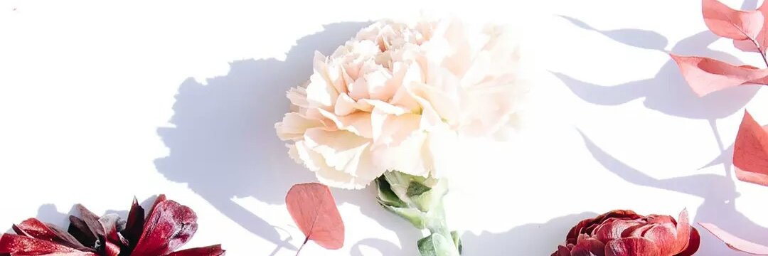 ApriliaBinzai's profile banner image