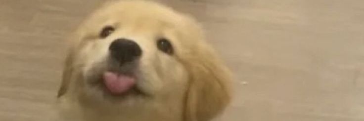 xxmegag___'s profile banner image