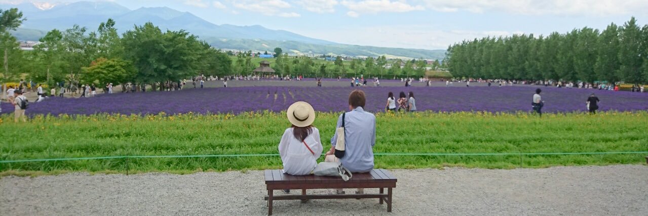 Ellenlin31's profile banner image