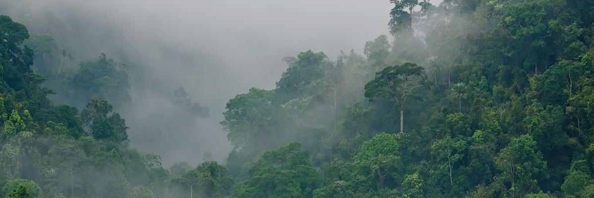 RecordTheEarth's profile banner image