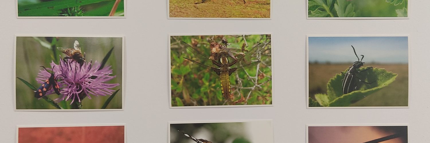 Laura M Martinez-Ch banner