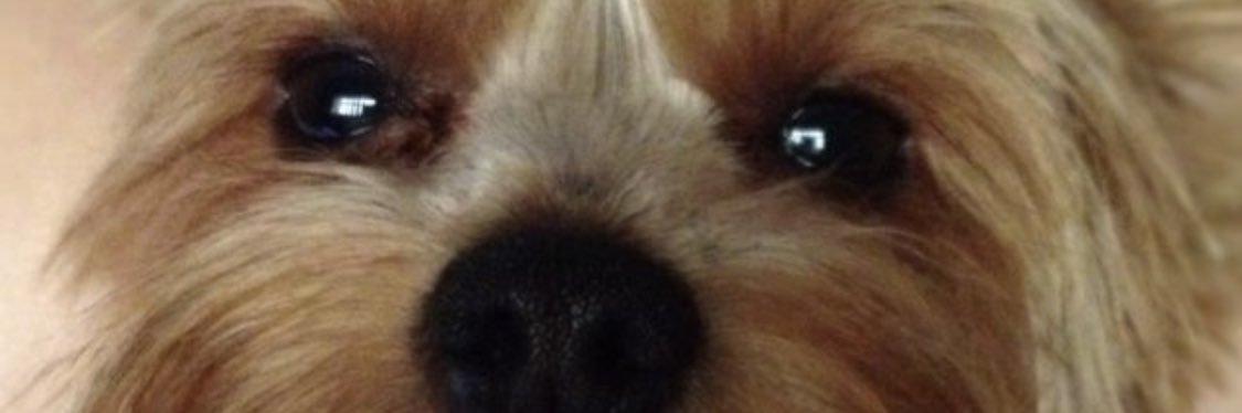 maitefdez's profile banner image