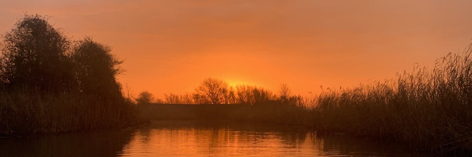 tarawhat_'s profile banner image