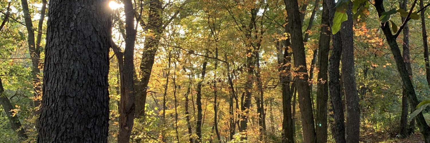 Ken McCarthy — Author banner