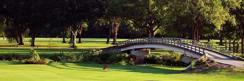 CMAAGSU's profile banner image