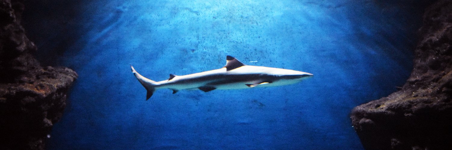 FullStackFool banner