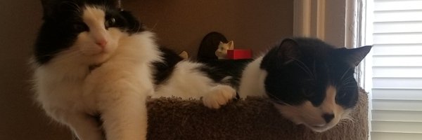 drjerbs Profile Banner
