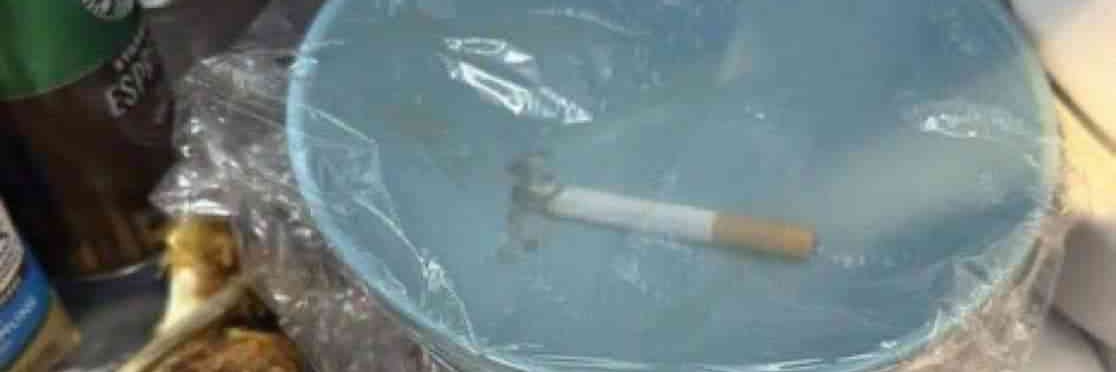 gay porn in general banner