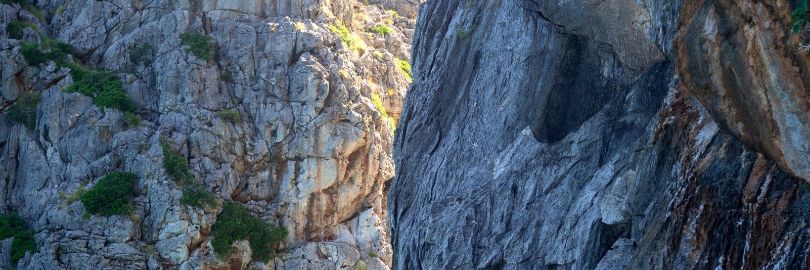 Mark Harrison banner