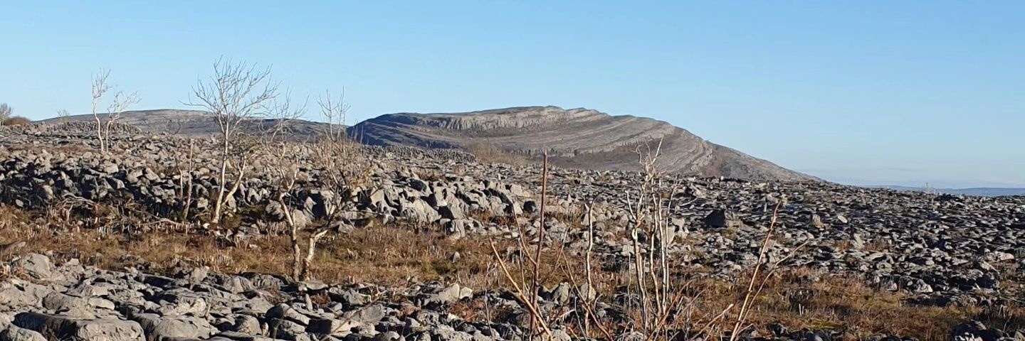 Visit the Burren banner