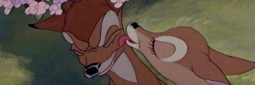 Fox_2341's profile banner image