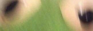 rachan9251's profile banner image