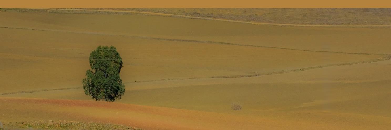 Flu 🎗️🇮🇱 NO alla riforma trappola Magistratura banner