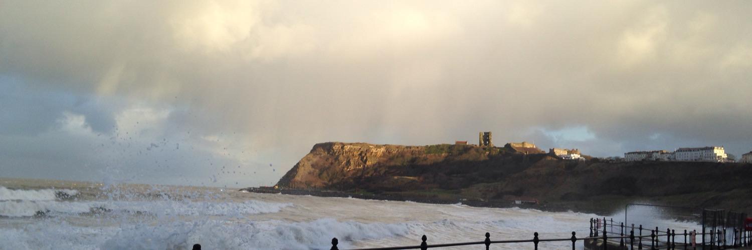 castlebirder's profile banner image