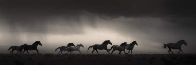 erginmre's profile banner image