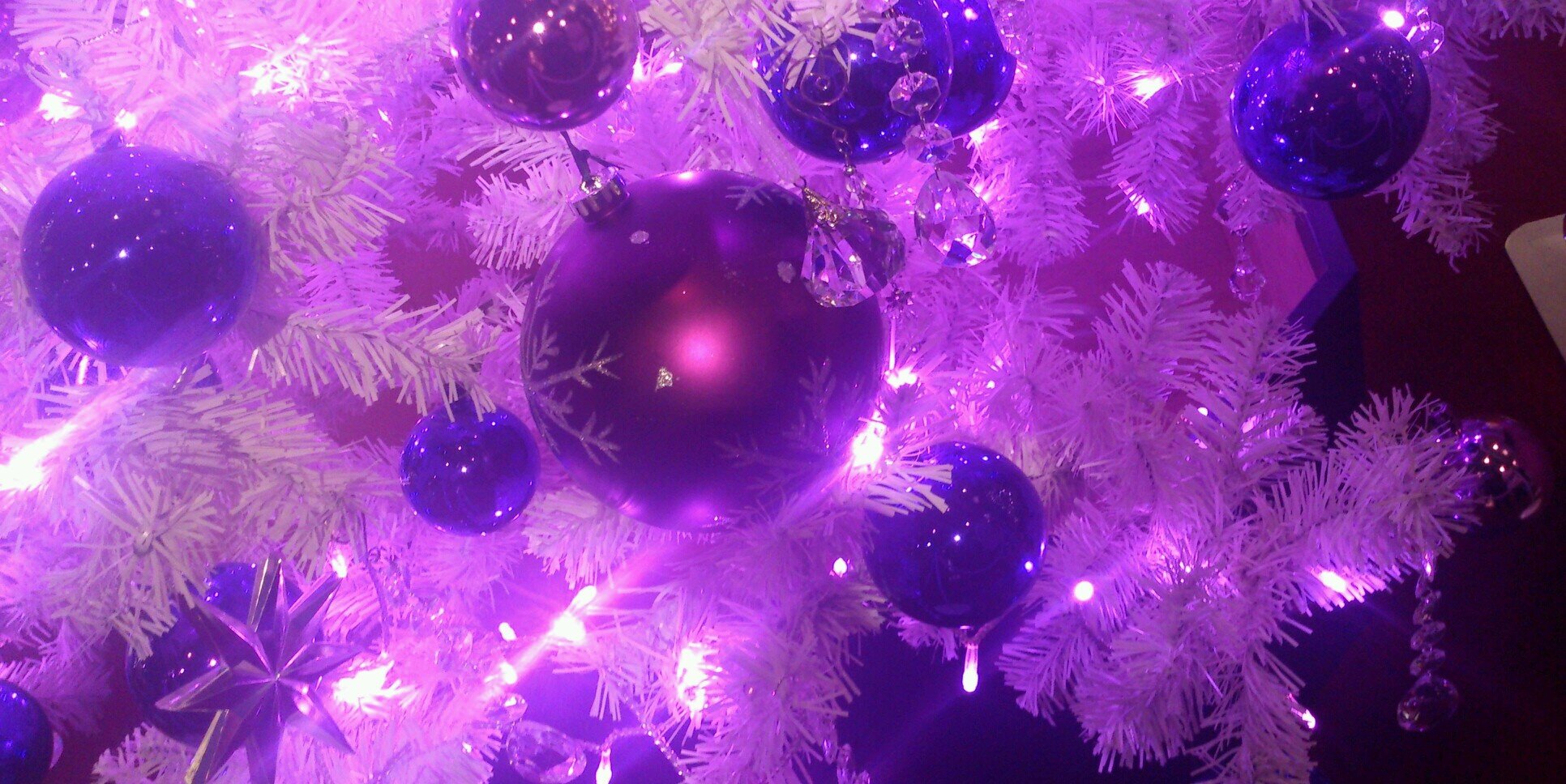 しろいぬ banner