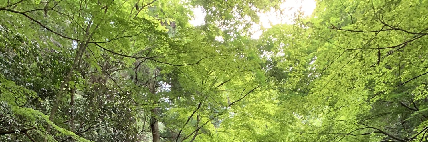 hahahahahappi's profile banner image