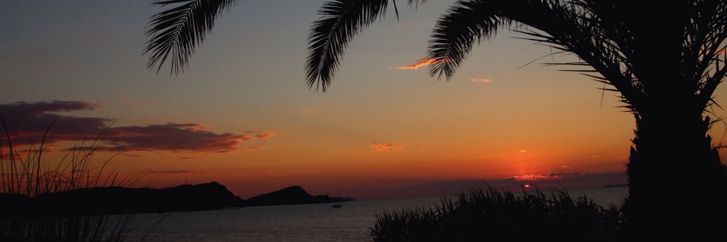 Susan Gutteridge banner