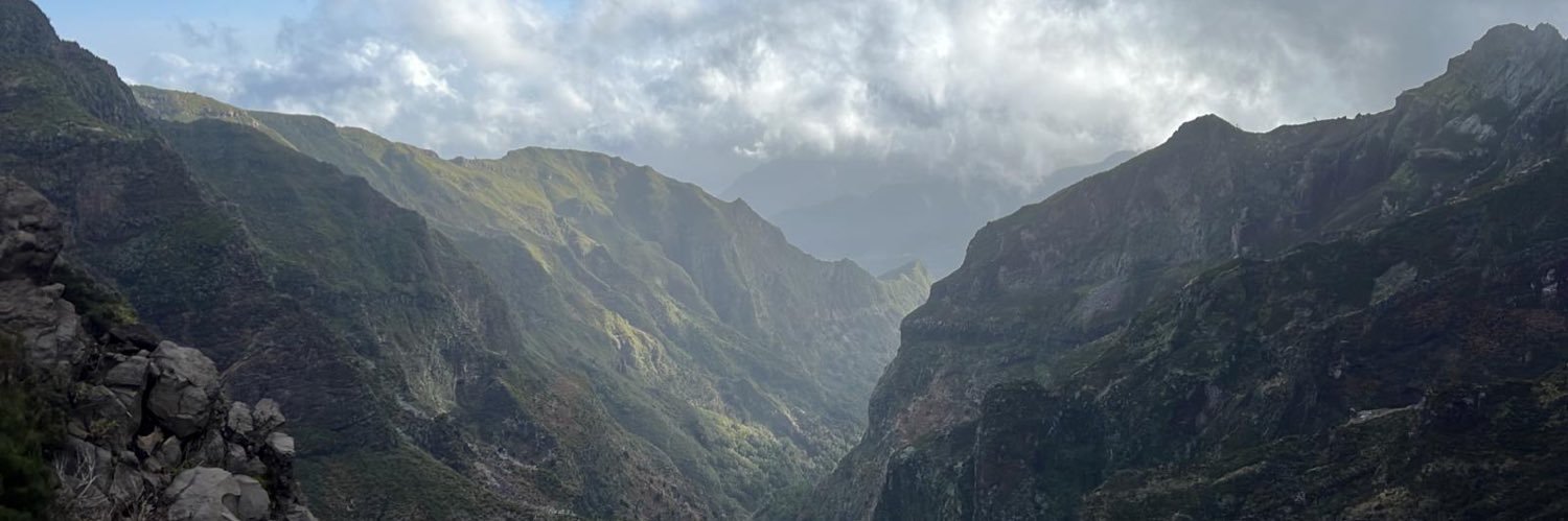 thegraymonkey's profile banner image