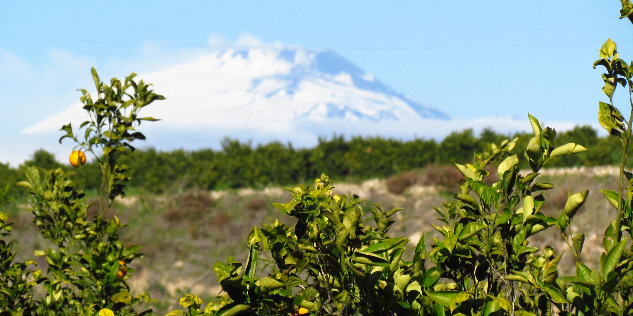 copacogecaCAP's profile banner image
