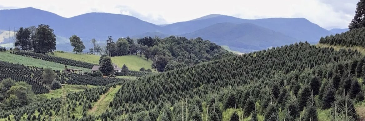 Stinchcomb Nursery Service banner