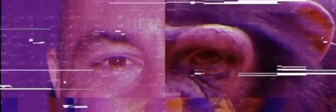 sneeezed's profile banner image