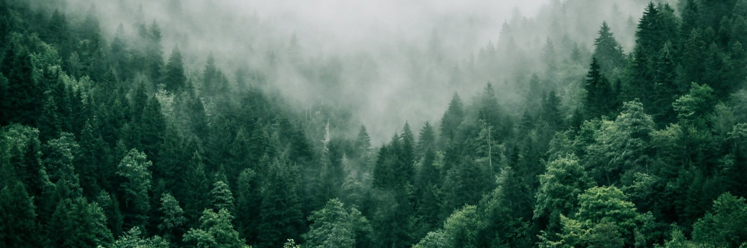 Sarah Sansom banner