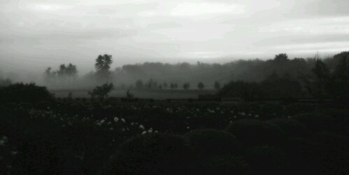 justinmtrgdr's profile banner image