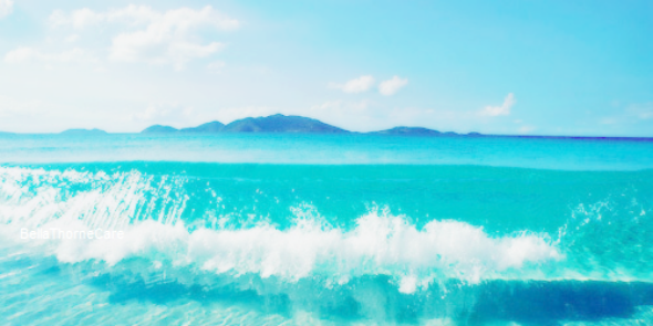 bellarinanoah's profile banner image