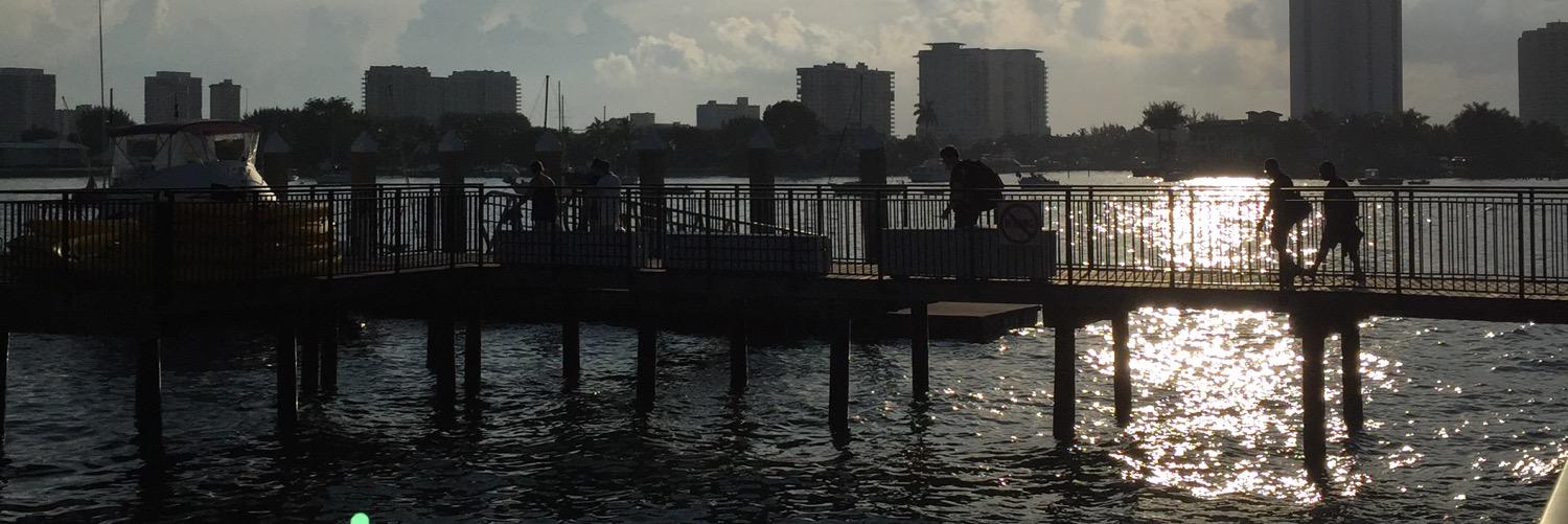 lisac1467's profile banner image