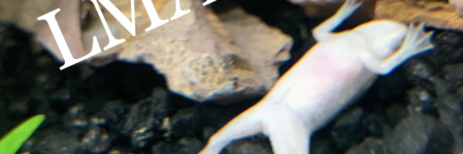 derpy_excuse's profile banner image