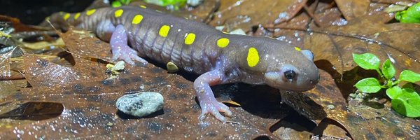 BeckerEmilee Profile Banner